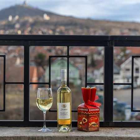 Helvecija 1880 Hotel Vrsac Eksteriør billede