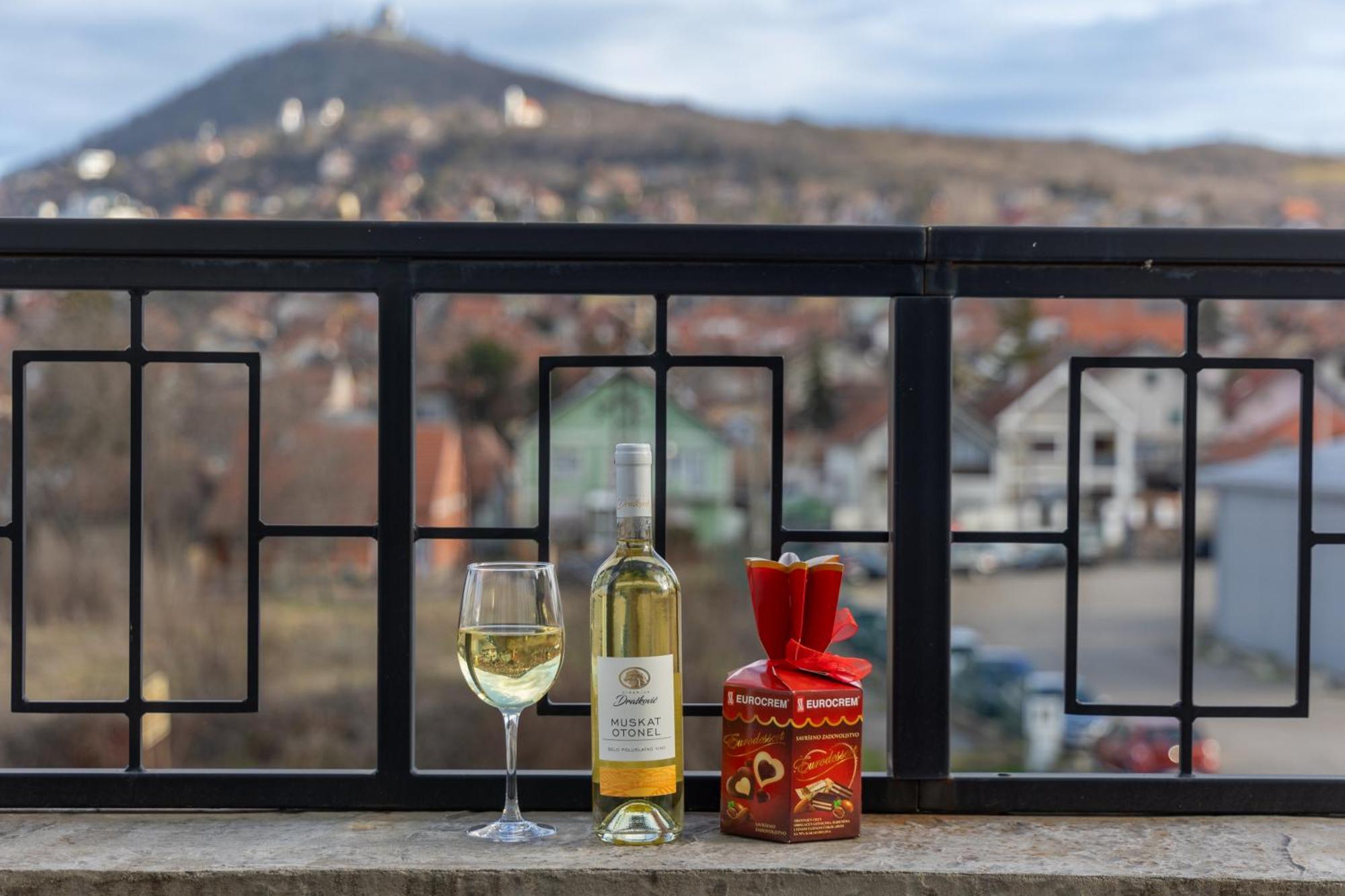 Helvecija 1880 Hotel Vrsac Eksteriør billede